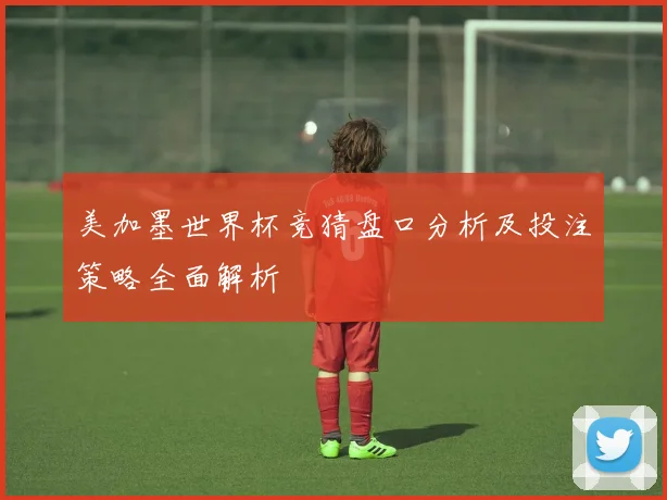 美加墨世界杯竞猜盘口分析及投注策略全面解析