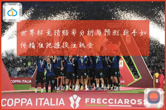 世界杯竞猜赔率分析与预测 新手如何精准把握投注机会