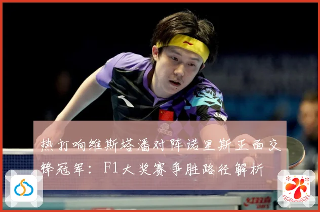 热打响维斯塔潘对阵诺里斯正面交锋冠军：F1大奖赛争胜路径解析