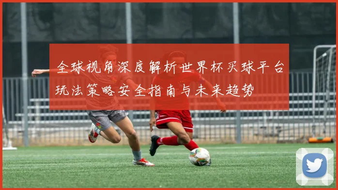全球视角深度解析世界杯买球平台玩法策略安全指南与未来趋势