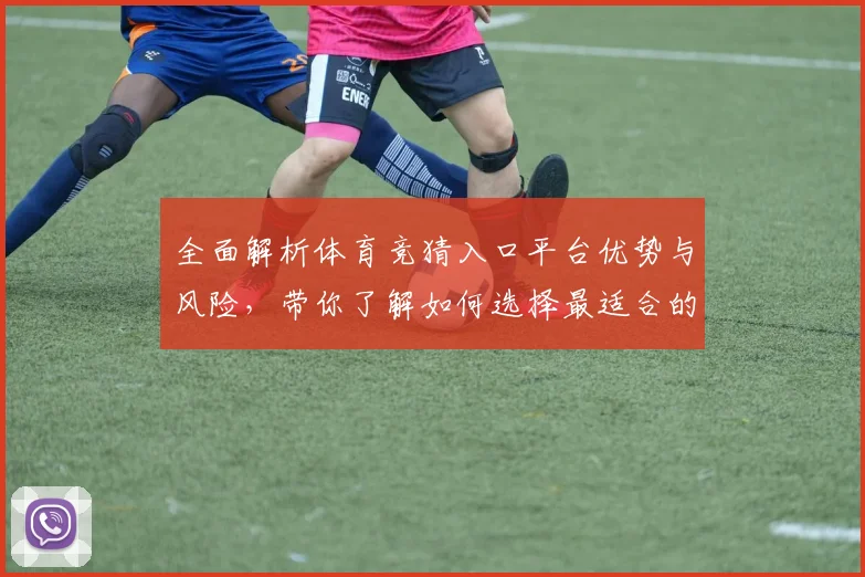 全面解析体育竞猜入口平台优势与风险，带你了解如何选择最适合的投注方式