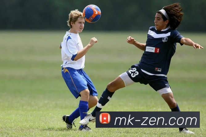 MK体育手机版全新体验攻略助你轻松掌握赛事资讯与投注技巧